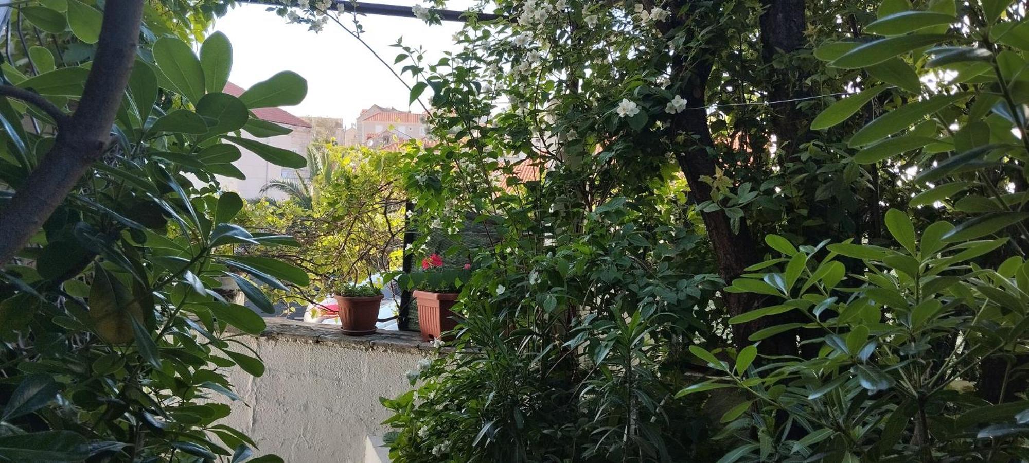 Apartment Maskaric Cavtat Exteriör bild
